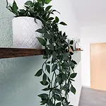 Sali-homes Boarding Haus Monteur-wohnungen Balkon Vollkueche Autobahnaehe
